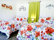 room.images[0].caption