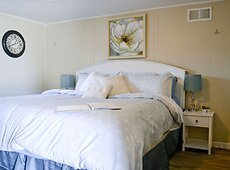 room.images[0].caption