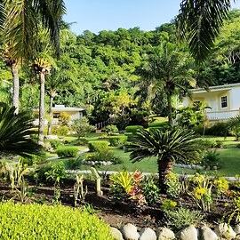 Blue Horizons Garden Resort