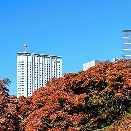 Century Southern Tower Hotel