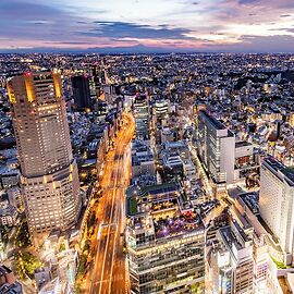Cerulean Tower Tokyu Hotel