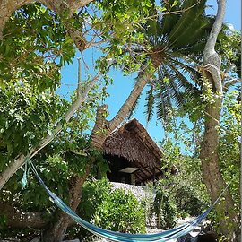 Tranquility Island Resort