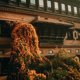 The Dwarika\'s Hotel