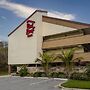 Red Roof Inn Tampa - Brandon