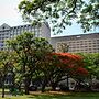 Hyatt Regency Harare The Meikles