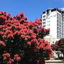 Bay Plaza Hotel