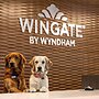 Wingate by Wyndham Lethbridge