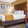 Comfort Inn Auburn - Seattle