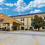 Comfort Inn Ottawa