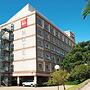 ibis Paulinia