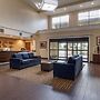 Comfort Suites near Texas Medical Center - NRG Stadium