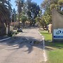 Acclaim Pine Grove Holiday Park