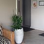 Amira Apartments