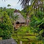 Pacaya Samiria Amazon Lodge