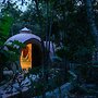 Unique Jungle Dome Ha With Kitchen
