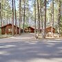 Pinetop Cabin w/ 2 Fireplaces & Hot Tub!