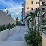 Paddington Terrace Oasis