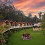 Stone Wood Jungle Resort