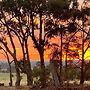 Happy Wanderer Holiday Resort Grampians