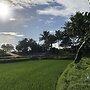 Sobral Rice Terraces View