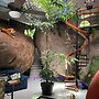 Rocka Verde Retreat