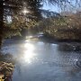 Bear Bottoms at Salmon Creek