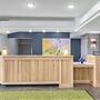 Spark by Hilton Lansing