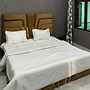 Goroomgo Hotel Zulfikar Srinagar