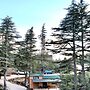 Cedrus Life Bungalow Tesisleri