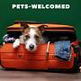 Stockyards- 4min Pet Friendly 3BR Luxe Gem