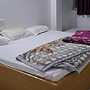 Monika Guest House Bodhgaya