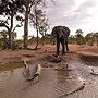 Chobe Mopani Forest Lodge & Camp site