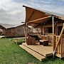 Tent Lodge Near Forest
