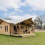 Tent With Shower and Kitchen, on a Pop-up Campsite