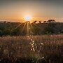Herdade da Maceira