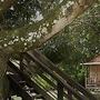 Helpa Eco Cabins