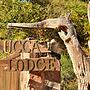 Lucca Lodge