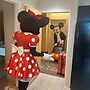 Free Shuttle 2 Queen Disney Area