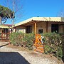 Campsite Chalet Zr28 Tuscany Near sea