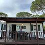 Mobile Home Superior With Covered Veranda Near Lake Trasimeno