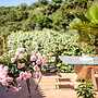 Villa Armonia - Beachfront Majestic Retreat