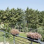Bed and breakfast La Caruscia