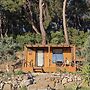 TİNY MİNİ HOUSE