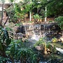 Shonalanga Valley Resort