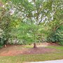 Walk to University of South Alabama: Mobile Apt
