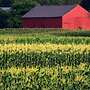 Amherst Country Oasis Perfect Location Umass