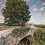 Leavens Farmstead Rural Retreat With Hot Tub