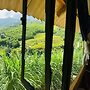 Hmong Hillside House