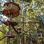 Out 'N' About Treehouse Treesort