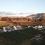 Endless Vineyards at Wildekrans Wine Estate